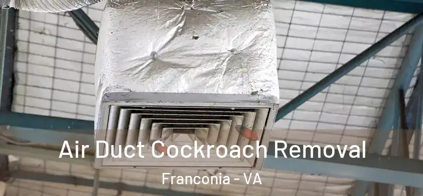  Air Duct Cockroach Removal Franconia - VA
