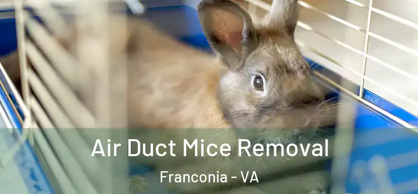  Air Duct Mice Removal Franconia - VA