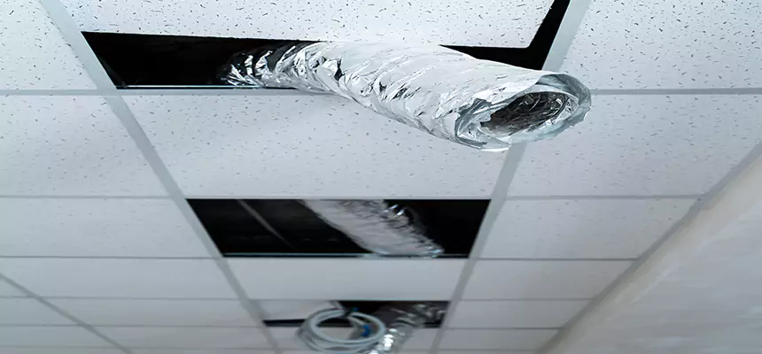 Our Air Duct Pet Hair Removal Services in Franconia, VA