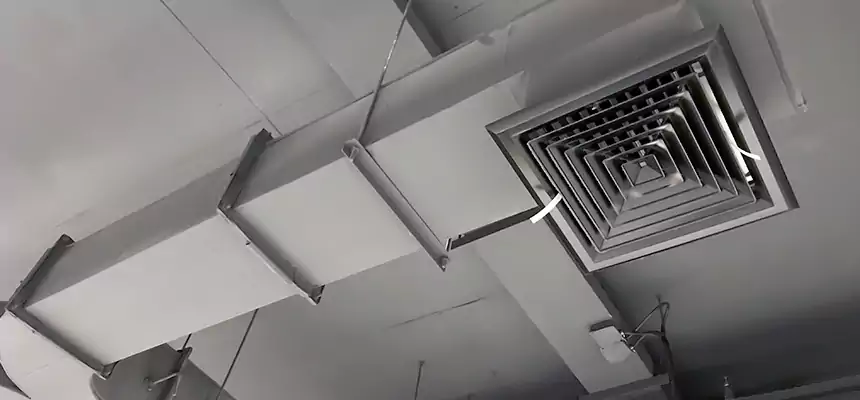 Restorative Allergy Relief Vent Cleaning – Coil, Blower & Housing Detail in Franconia