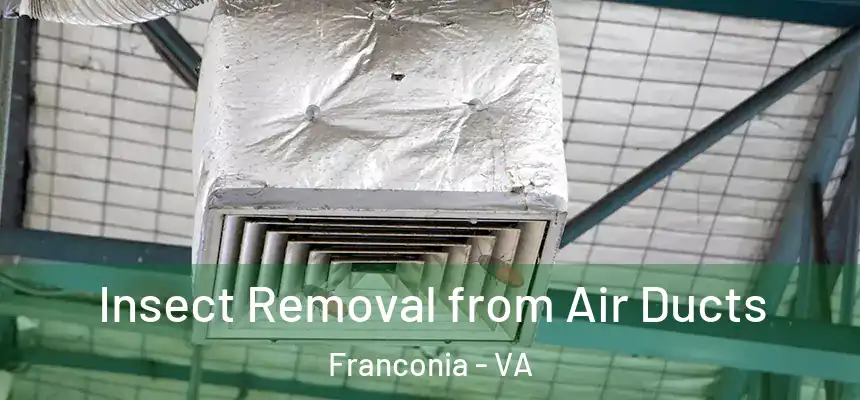  Insect Removal from Air Ducts Franconia - VA