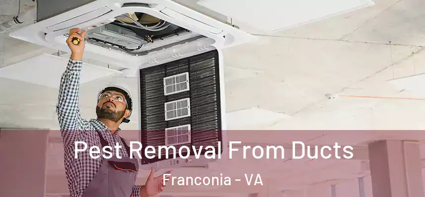  Pest Removal From Ducts Franconia - VA