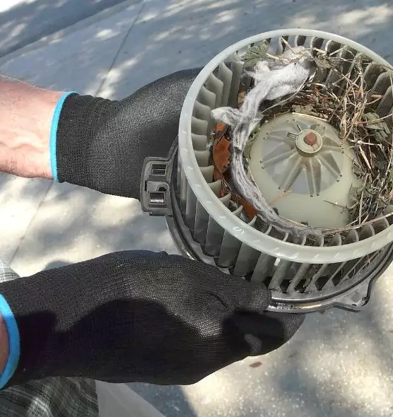 About Air Duct Mice Removal in Franconia, VA