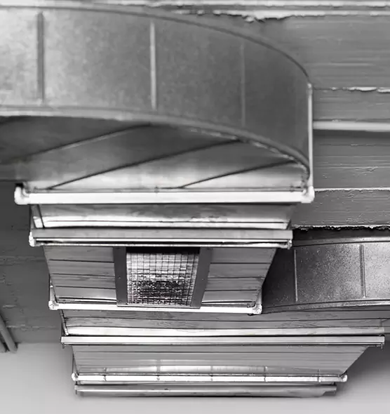 Professional Air Duct Pet Hair Removal in Franconia, VA