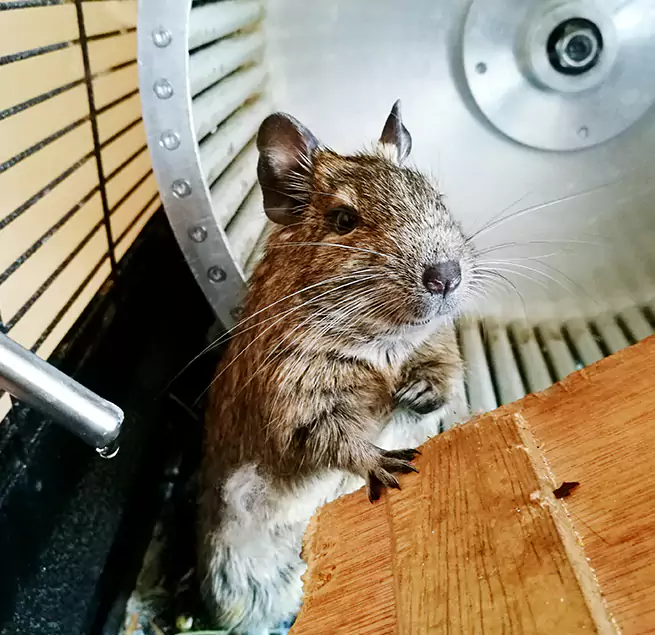 Why Homeowners & Businesses Trust Us Franconia, VA?